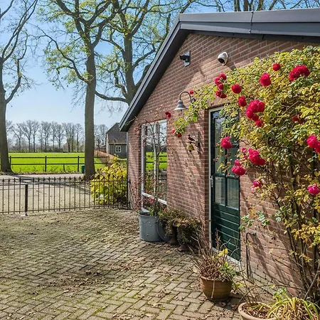 Beautiful In With Wifi Volkel