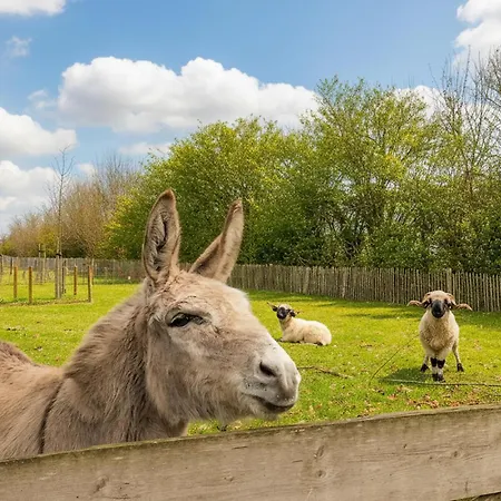 Feriehus Beautiful In With Wifi