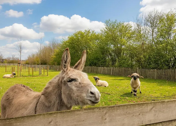 Vakantiehuis Beautiful In With Wifi