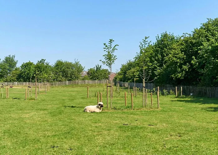 Beautiful In With Wifi Feriehus *